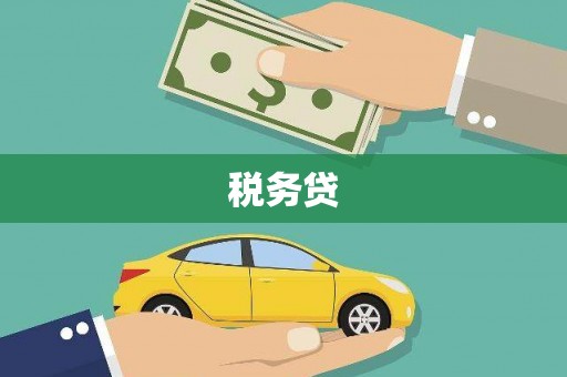 涉县税务贷