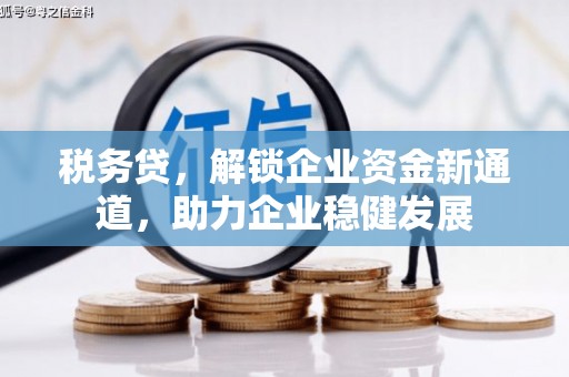 龙陵税务贷，解锁企业资金新通道，助力企业稳健发展