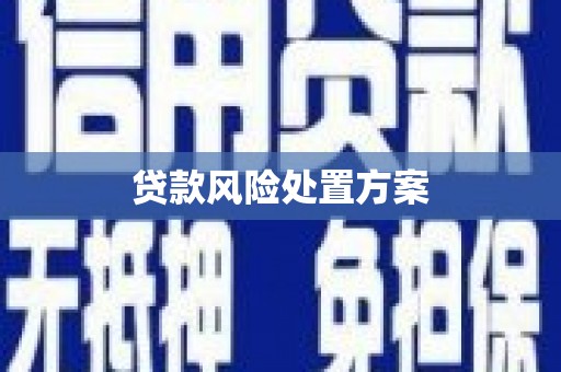 昭苏贷款风险处置方案