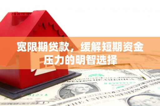 阳西宽限期贷款，缓解短期资金压力的明智选择