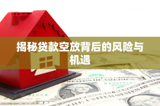 丽水揭秘贷款空放背后的风险与机遇